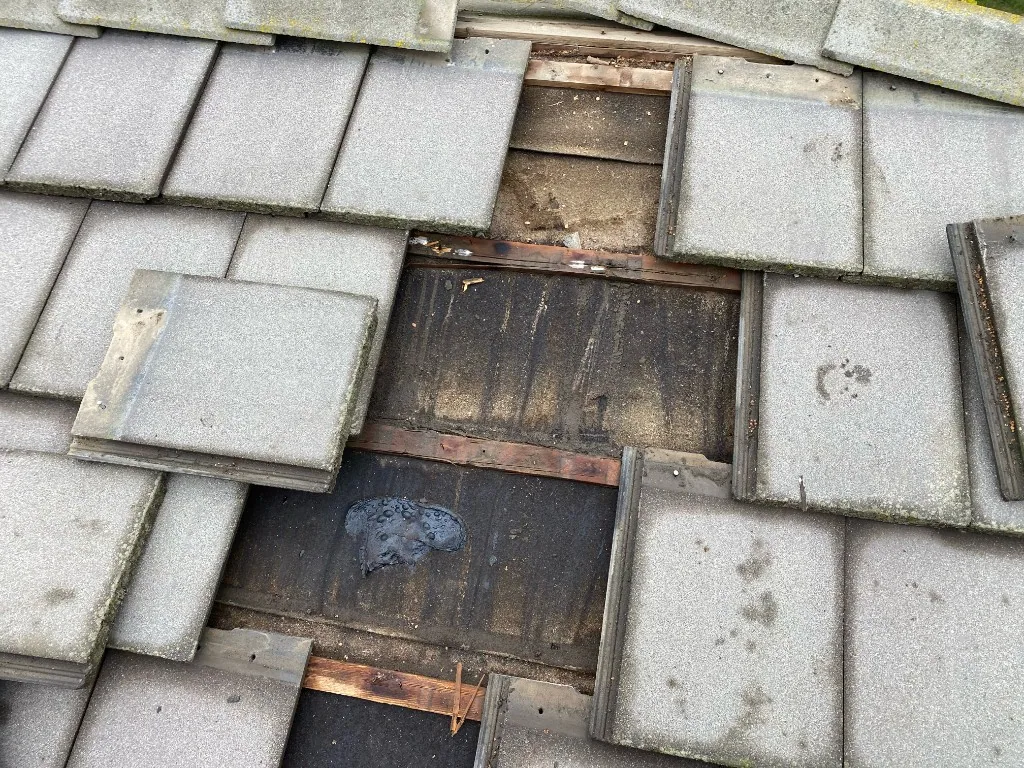 Concrete roof tiles moved aside to reveal battens and underlayment below