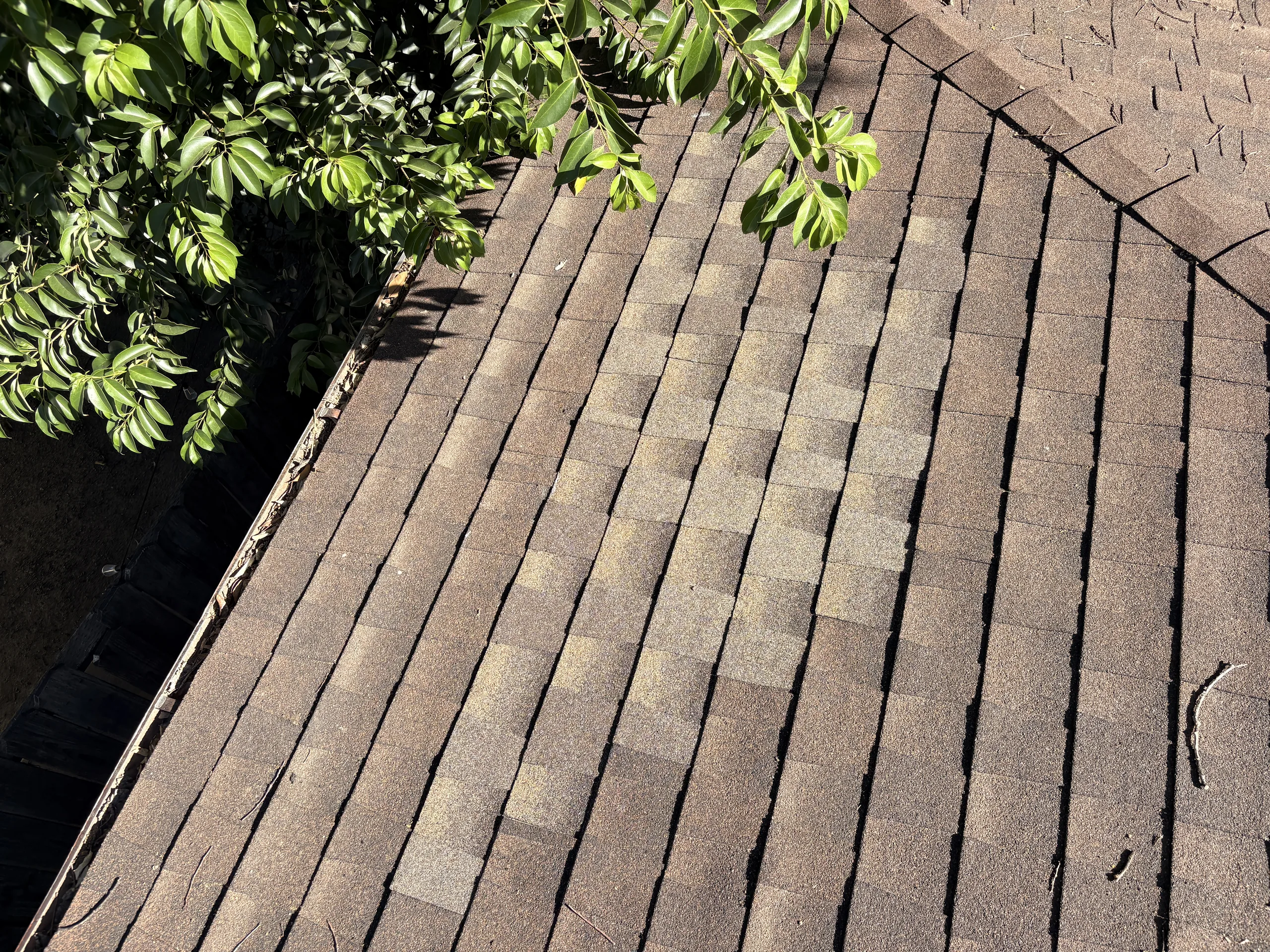 Roofing field work photo from a GV Roofing Solutions inspection or repair